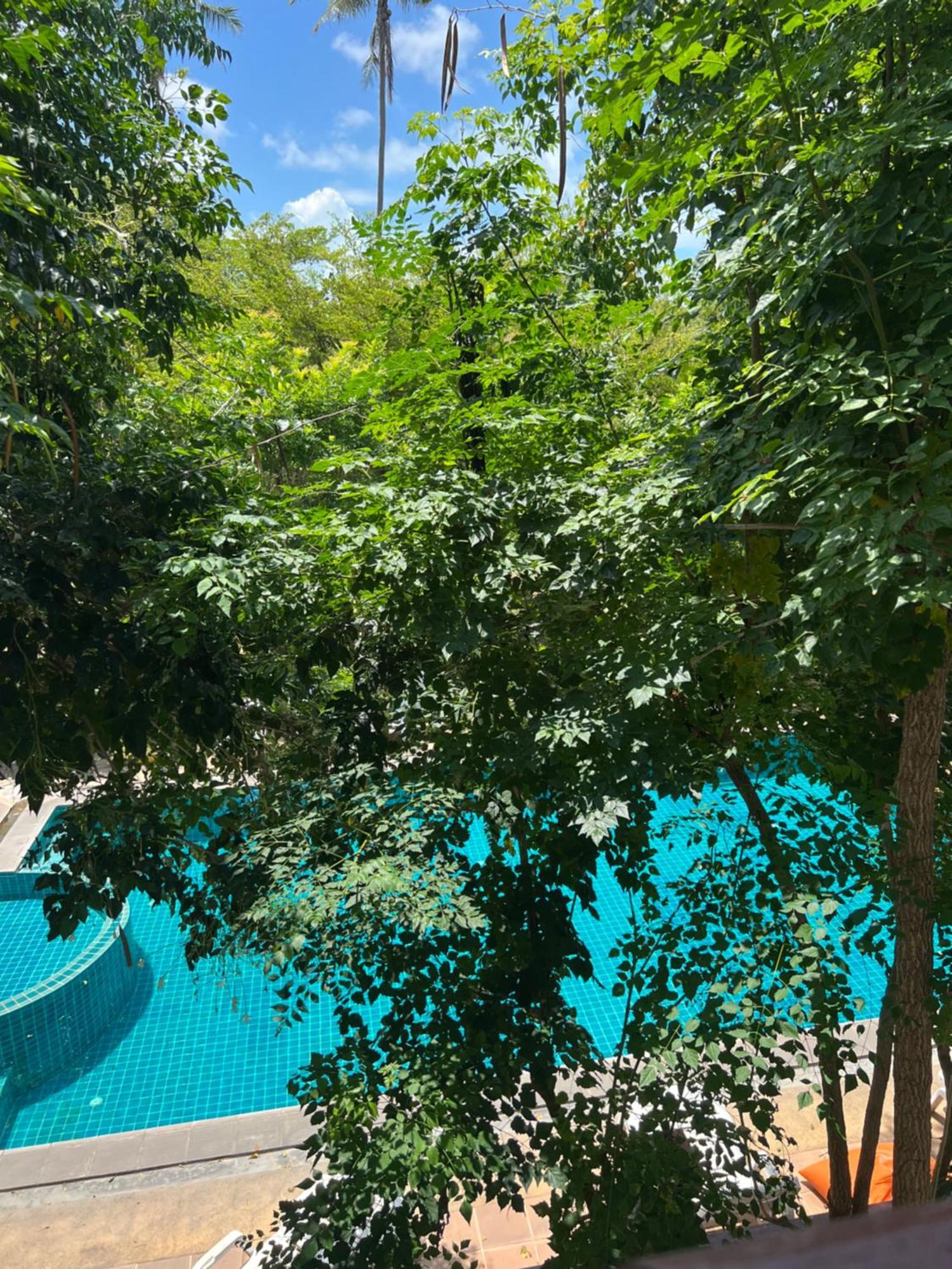 קו סמוי Samui Seabreeze Place מראה חיצוני תמונה