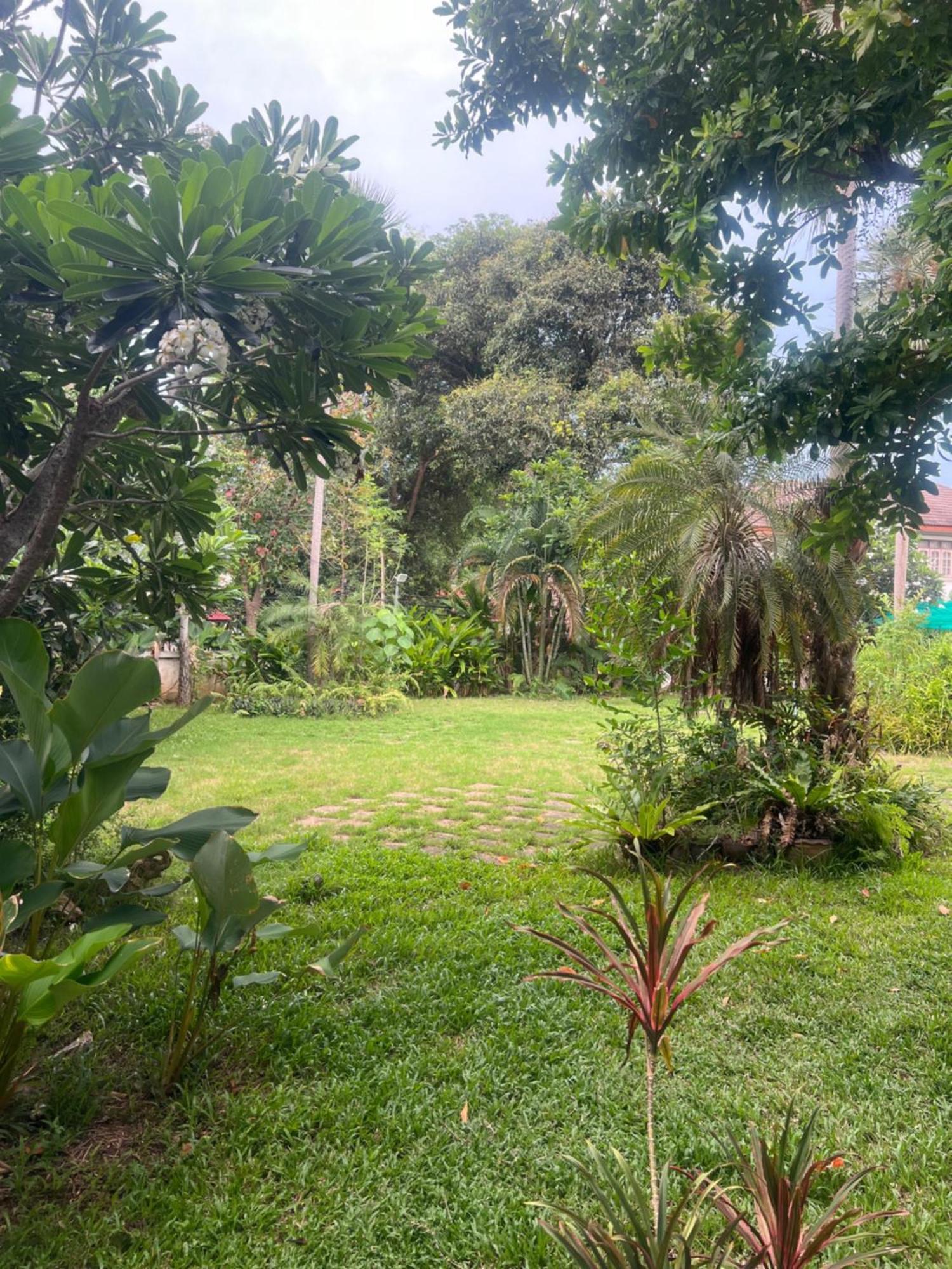 קו סמוי Samui Seabreeze Place מראה חיצוני תמונה